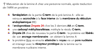 Capture d’écran 2018-09-25 à 18.17.39.png