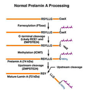 Capture d’écran 2018-09-25 à 18.17.48.png
