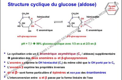 42575397_469334826903279_2375937536909377536_n (1).jpg