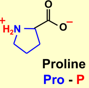 proline.png