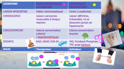 Capture d’écran 2018-08-23 à 23.30.45.png