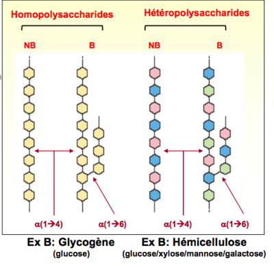 Capture d’écran 2018-09-13 à 20.38.30.png