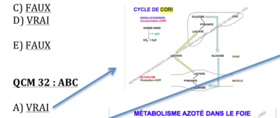 Capture d’écran 2018-10-01 à 16.41.20.png