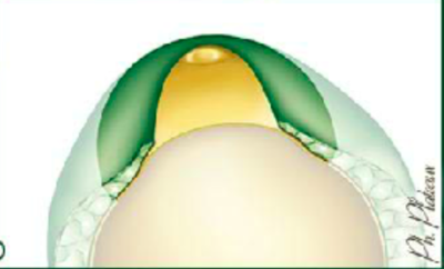 Capture d’écran 2018-10-01 à 21.59.12.png