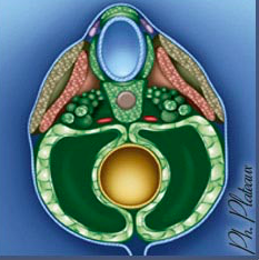 Capture d’écran 2018-09-17 à 22.25.51.png