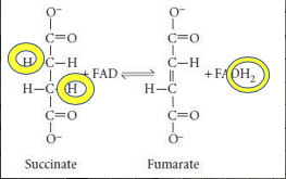 Capture d’écran 2018-09-04 à 19.50.24.png