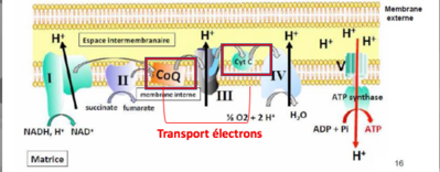 Capture d’écran 2018-09-04 à 19.46.38.png
