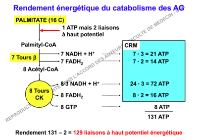 Capture d’écran 2018-10-03 à 13.20.57.png