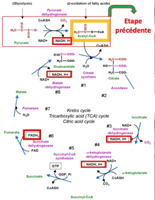 Capture d’écran 2018-09-04 à 19.40.00.png