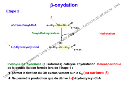 Capture d’écran 2018-10-03 à 13.54.56.png