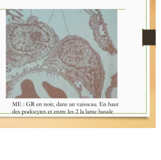 Capture d’écran 2018-10-03 à 19.53.34.png