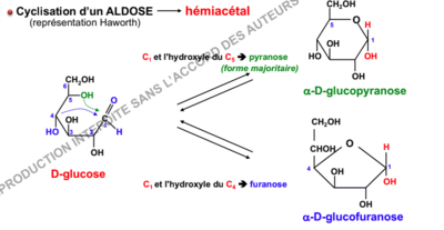 Capture d’écran 2018-10-03 à 22.10.03.png