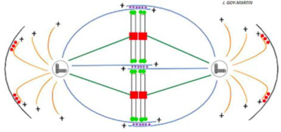 Capture d’écran 2018-10-05 à 22.19.41.png