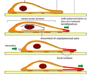 Capture d’écran 2018-10-07 à 12.17.41.png