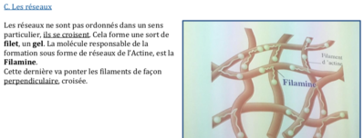 Capture d’écran 2018-10-07 à 13.34.54.png