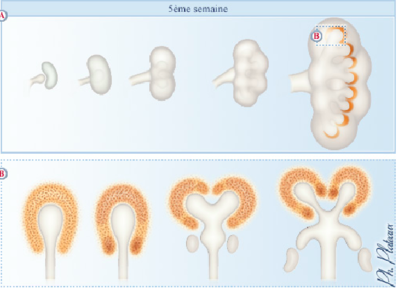 Capture d’écran 2018-10-08 à 22.26.05.png