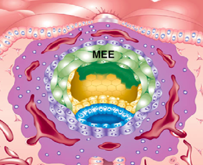 Capture d’écran 2018-10-09 à 19.43.25.png