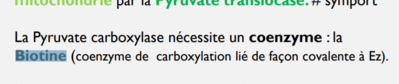biotine.PNG