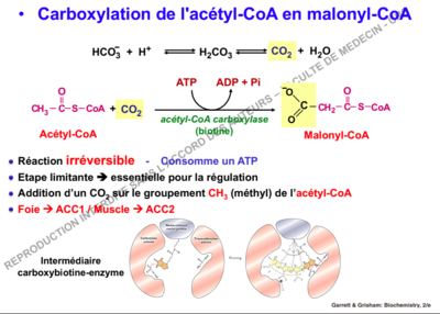 Capture d’écran 2018-10-11 à 12.29.47.png