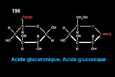 acide glucu.gif