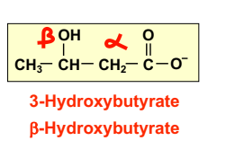 Capture d’écran 2018-10-17 à 22.19.43.png