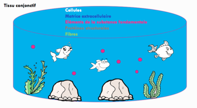 Capture d’écran 2018-10-19 à 22.26.57.png