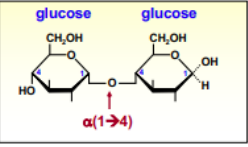 Capture d’écran 2018-10-21 à 14.43.55.png