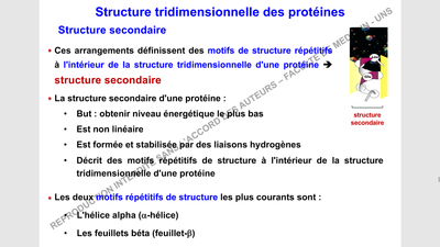 yoo.png (273.43 Kio) Vu 200 fois yoo.png