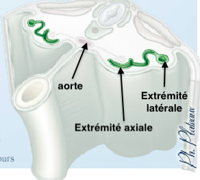 Capture d’écran 2018-10-29 à 22.25.46.png