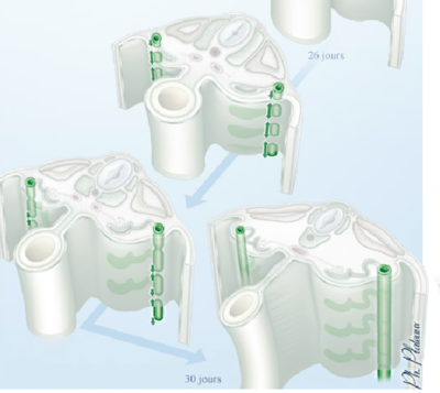 Capture d’écran 2018-10-29 à 22.26.18.png