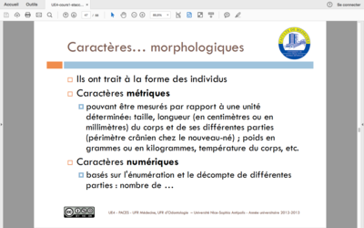 Capture d’écran 2018-11-02 à 21.10.18.png