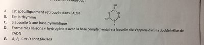 E11454C0-DD6C-4700-A1F6-2D88C939170C.jpeg (783.21 Kio) Vu 319 fois E11454C0-DD6C-4700-A1F6-2D88C939170C.jpeg