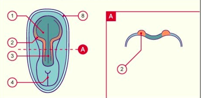 Capture d’écran 2018-11-06 à 12.18.25.png
