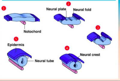 Capture d’écran 2018-11-06 à 12.18.58.png