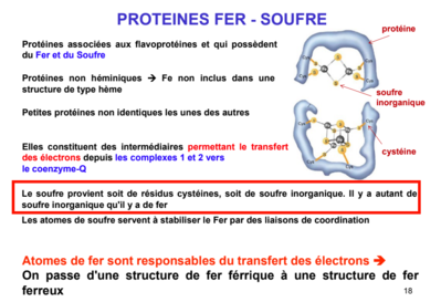 Capture d’écran 2018-11-07 à 12.16.29.png
