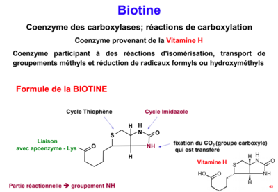 Capture d’écran 2018-11-07 à 22.18.50.png