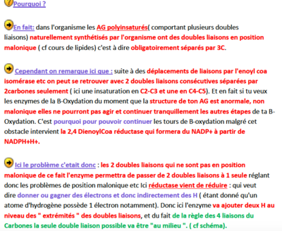 Capture d’écran 2018-11-07 à 23.07.44.png