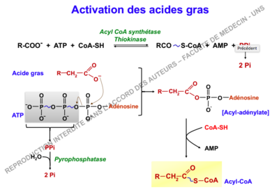 Capture d’écran 2018-11-03 à 20.21.43.png