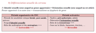 Différenciation sexuelle du cerveau.png