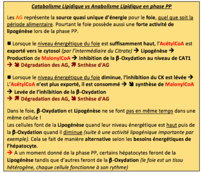 Capture d’écran 2018-11-09 à 02.02.54.png