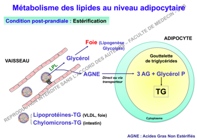 Capture d’écran 2018-10-10 à 20.40.51.png