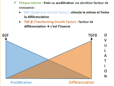 EGF TGFB.png