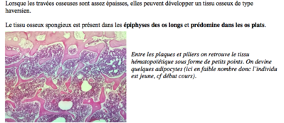 Capture d’écran 2018-11-13 à 23.42.00.png