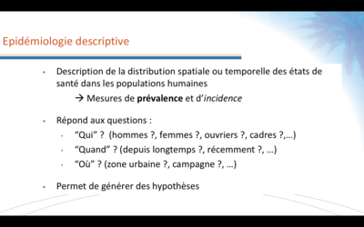 Capture d’écran 2018-11-14 à 08.56.52.png