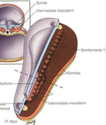 Capture d’écran 2018-11-16 à 15.01.40.png