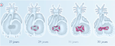 Capture d’écran 2018-11-16 à 21.33.34.png