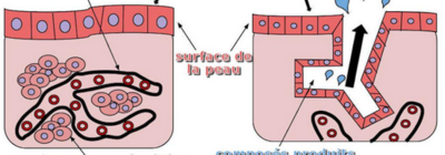 Capture d’écran 2018-11-17 à 00.23.34.png