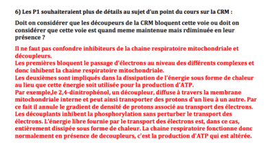 Capture d’écran 2018-11-16 à 23.36.06.png