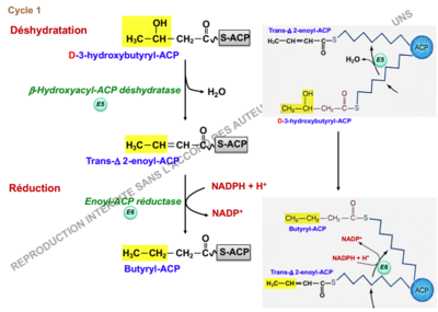 Capture d’écran 2018-11-17 à 01.48.06.png