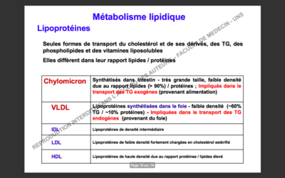 Capture d’écran 2018-11-25 à 22.40.37.png